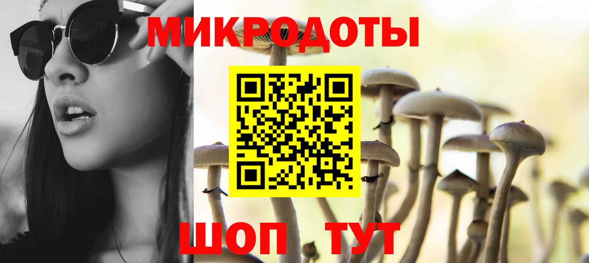 Псилоцибиновые грибы MAGIC MUSHROOMS  Вход с VPN  Вичуга 